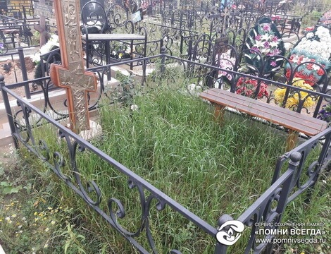 Посадка газонной травы семенами и результат через 40 дней